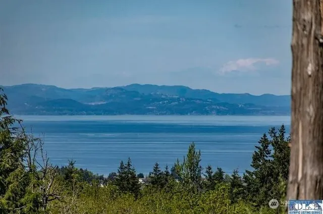 a view of a lake with a mountain in the background