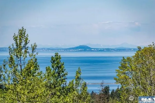 a view of a lake with a garden