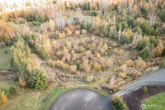 a view of a forest with a street