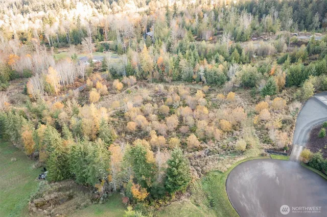 a view of a lake from a yard