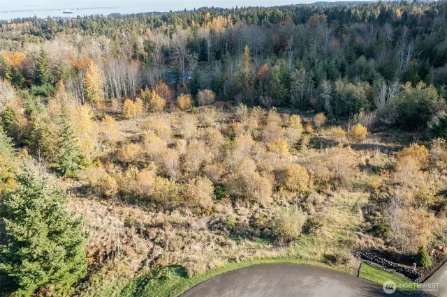 a view of a yard covered with snow