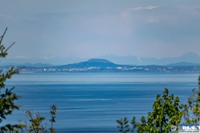 a view of a lake with a mountain