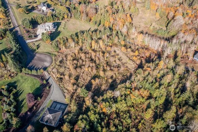 a view of an ocean and beach