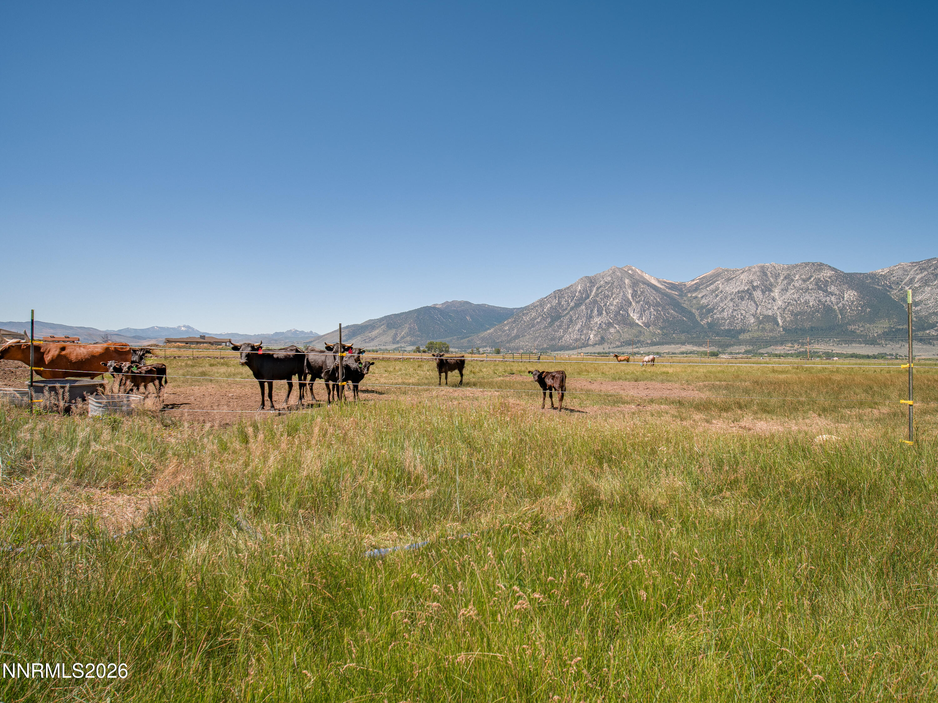 1225 Highway 88 Gardnerville, NV 89460 - Photo 8 of 25 Photo-1