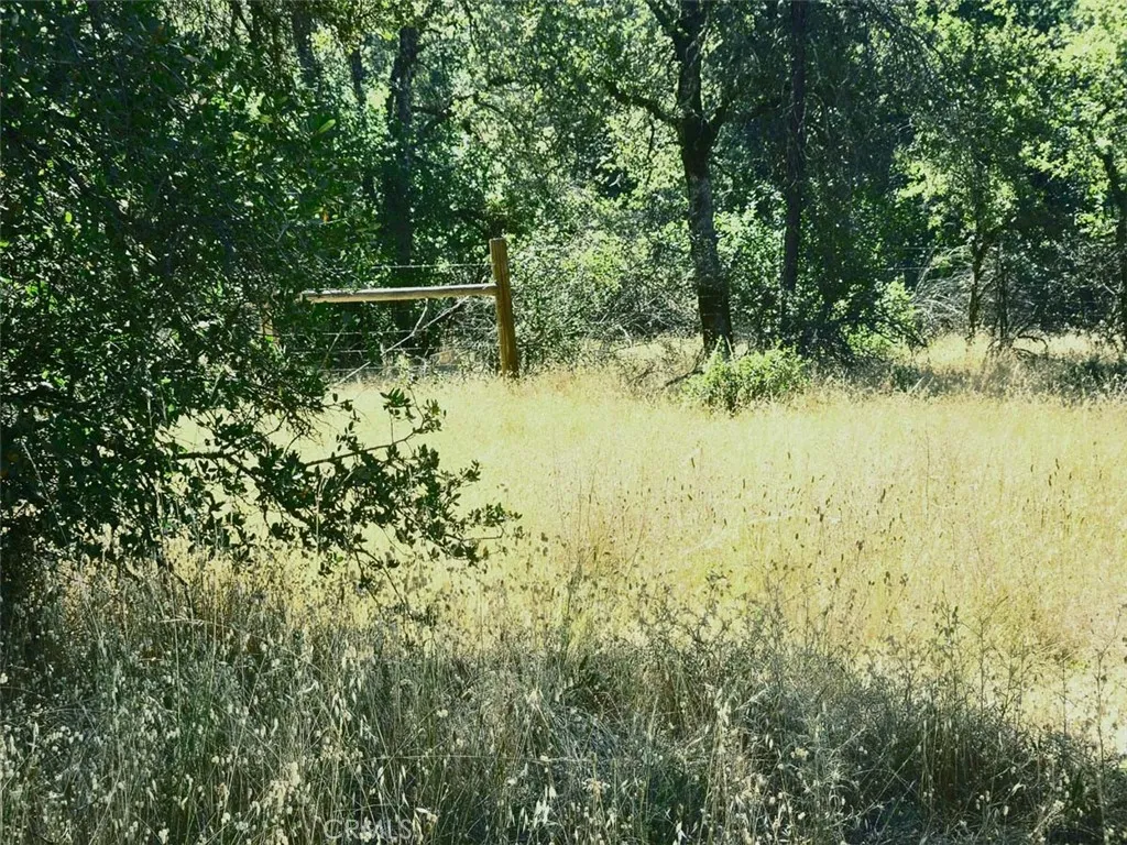 0 Texas Hill Road Oregon House, CA 95962 - Photo 16 of 33