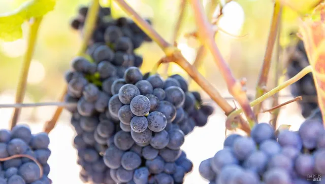 $695,000 | 3000 River Road, Windsor, CA 95492