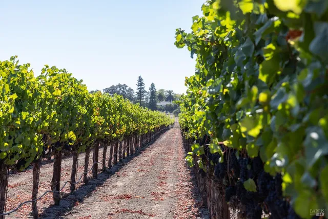 $695,000 | 3000 River Road, Windsor, CA 95492