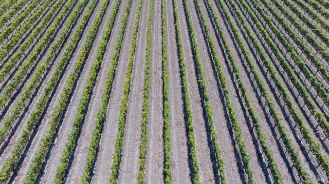 $695,000 | 3000 River Road, Windsor, CA 95492