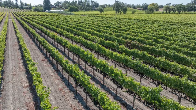 $695,000 | 3000 River Road, Windsor, CA 95492