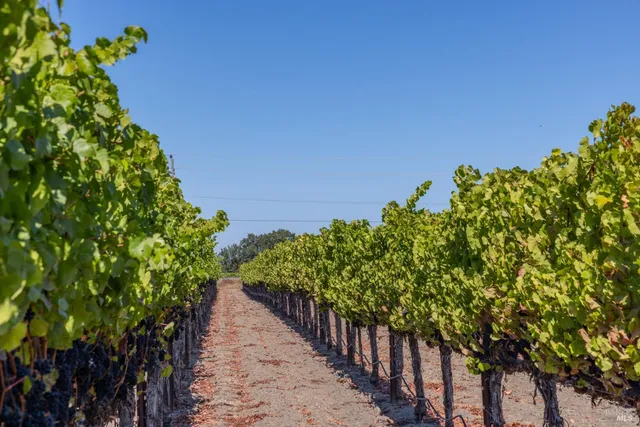 $695,000 | 3000 River Road, Windsor, CA 95492