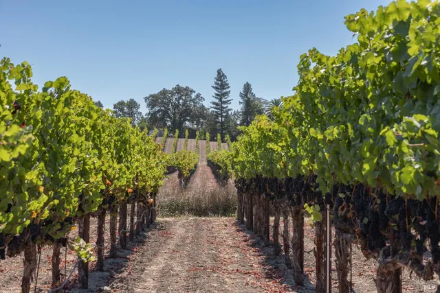 $695,000 | 3000 River Road, Windsor, CA 95492