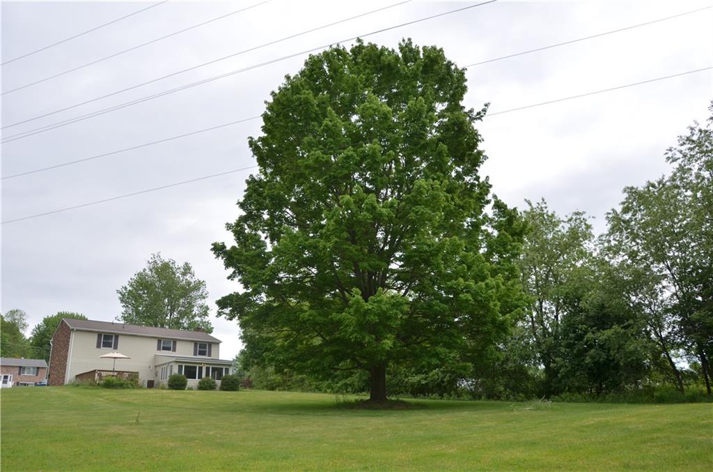 217 Cole Road Sarver, PA 16055 - Photo 14 of 14 1.06 Acres!!!