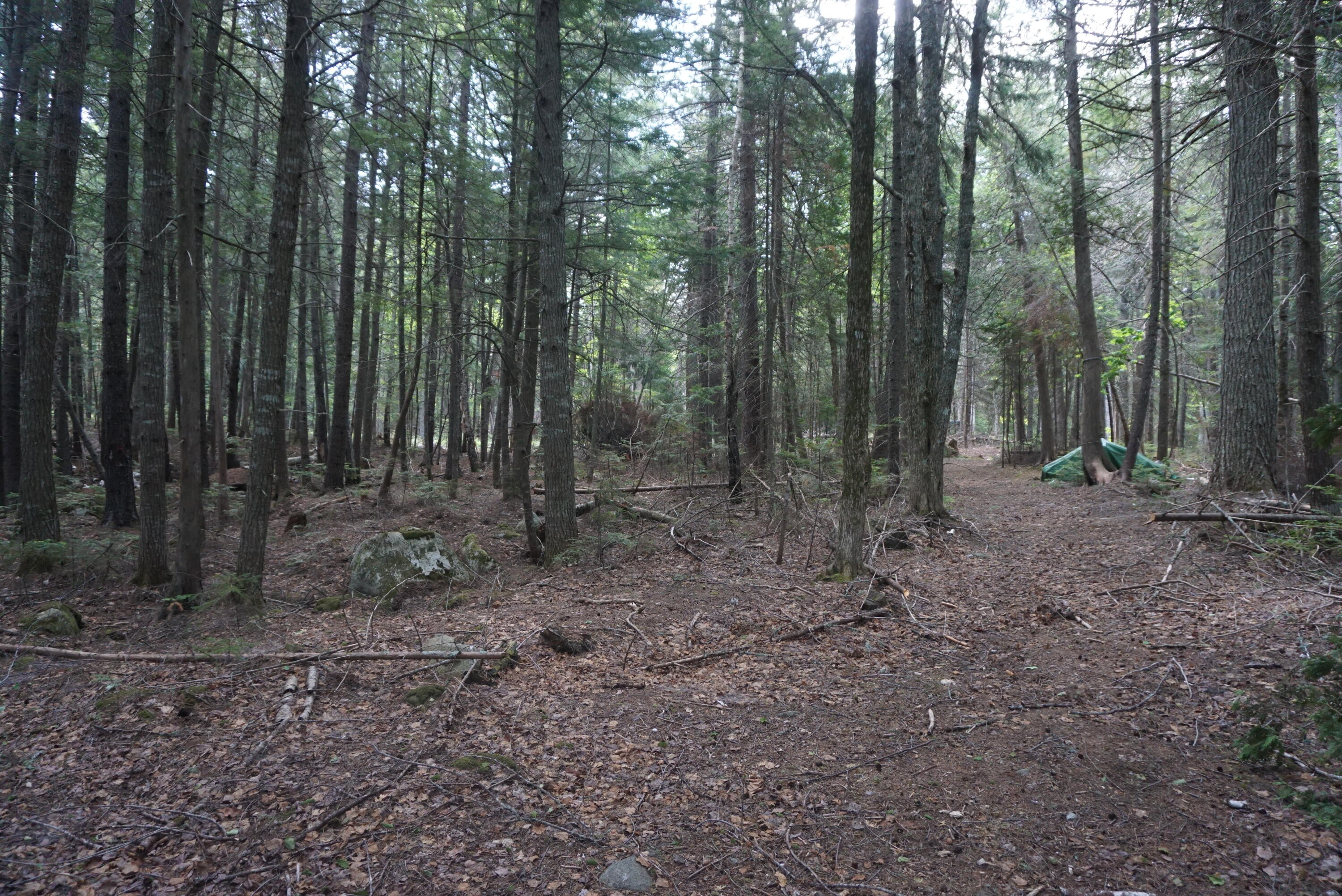 1.3 Evergreen Point Road Beaver Cove, ME 04441 - Photo 17 of 29 62A0562F-84AF-43F4-A187-15F098B3F4A8