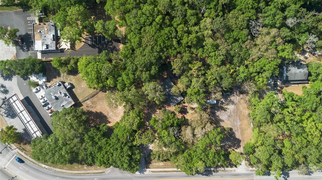 Kelly Park Road East Apopka, FL 32712 - Photo 12 of 22
