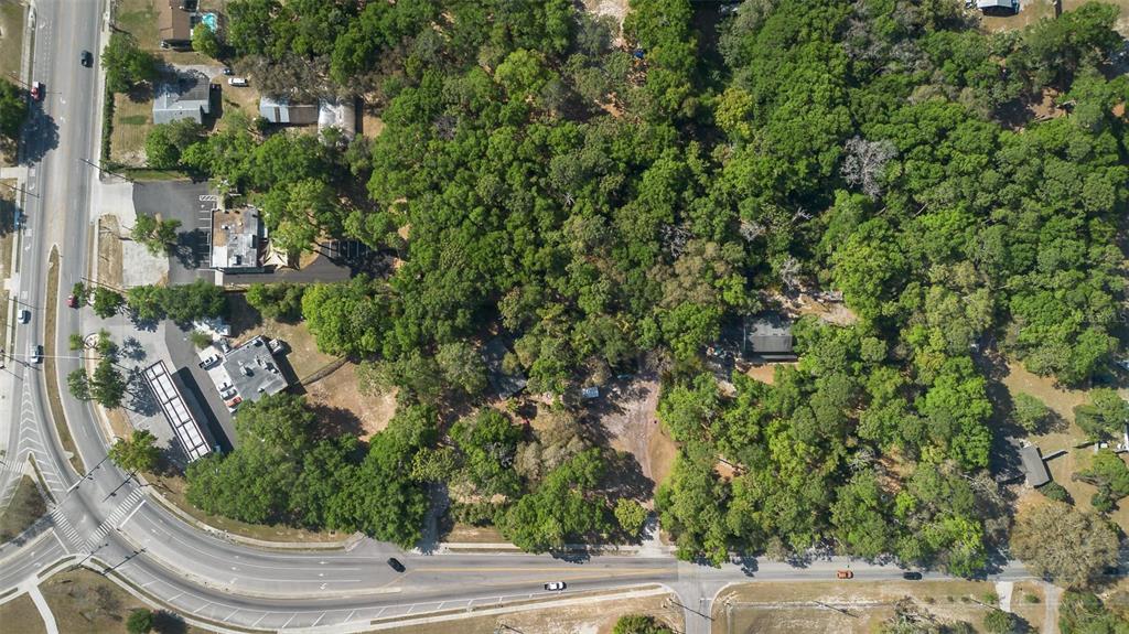 Kelly Park Road East Apopka, FL 32712 - Photo 14 of 22