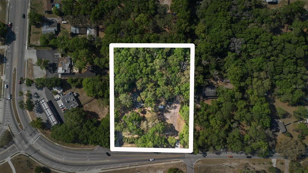 Kelly Park Road East Apopka, FL 32712 - Photo 15 of 22