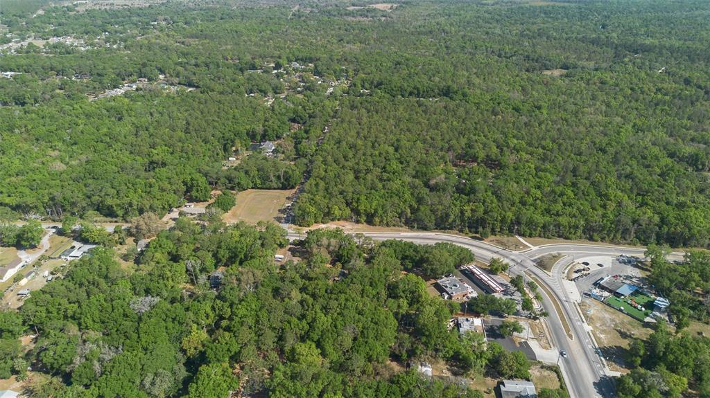 Kelly Park Road East Apopka, FL 32712 - Photo 18 of 22