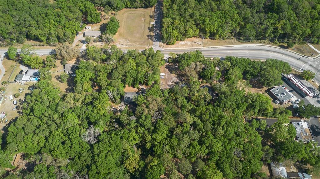 Kelly Park Road East Apopka, FL 32712 - Photo 19 of 22