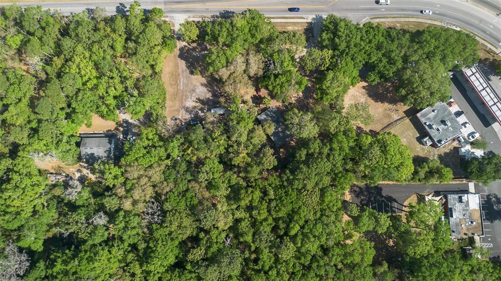 Kelly Park Road East Apopka, FL 32712 - Photo 21 of 22