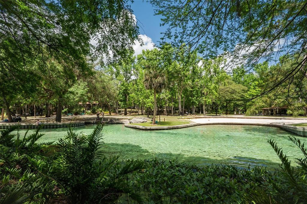 Kelly Park Road East Apopka, FL 32712 - Photo 3 of 22