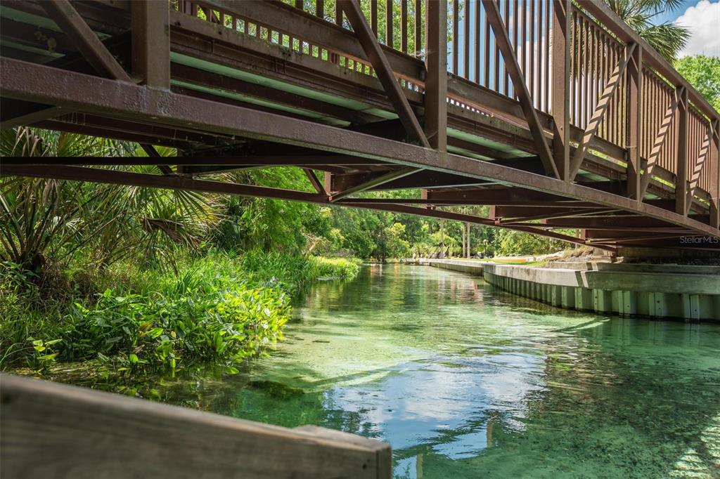 Kelly Park Road East Apopka, FL 32712 - Photo 4 of 22