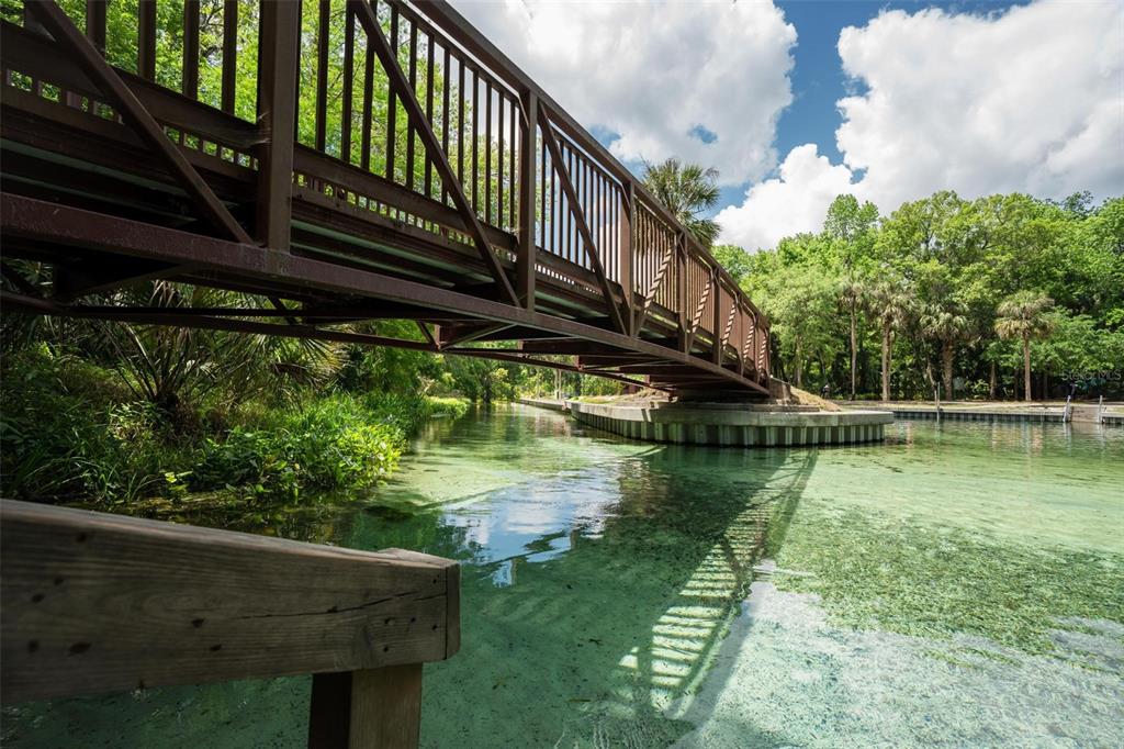 Kelly Park Road East Apopka, FL 32712 - Photo 5 of 22