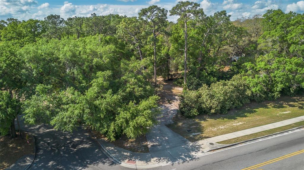 Kelly Park Road East Apopka, FL 32712 - Photo 7 of 22