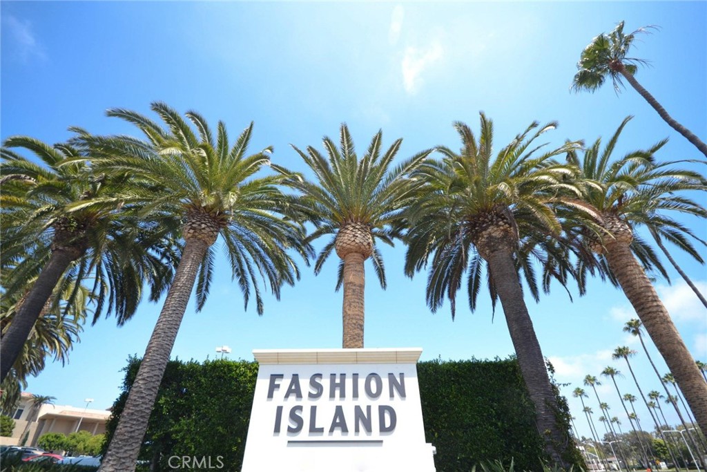 213 34th Street Newport Beach, CA 92663 - Photo 29 of 32 a view of a palm and trees