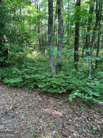 $43,500 | 0 Maple Leaf Drive, Unit TRACT 6, Dillard, GA 30537