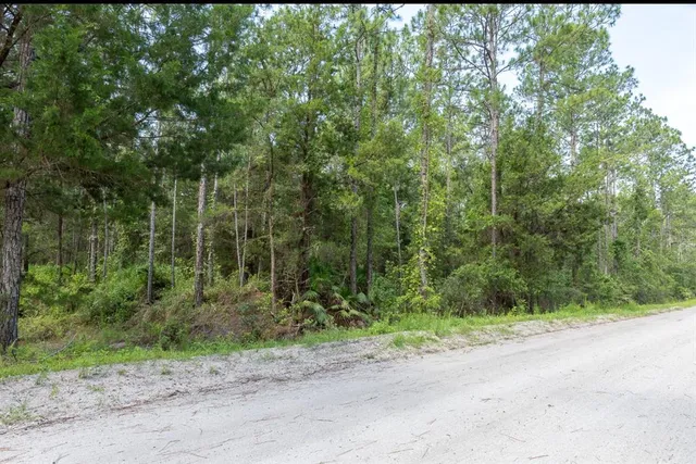 $32,000 | 5661 Ironwood Avenue, Bunnell, FL 32110