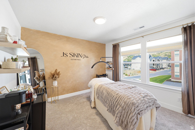 4646 Alder Drive, Unit 223 Mapleton, UT 84664 - Photo 16 of 35 Bedroom