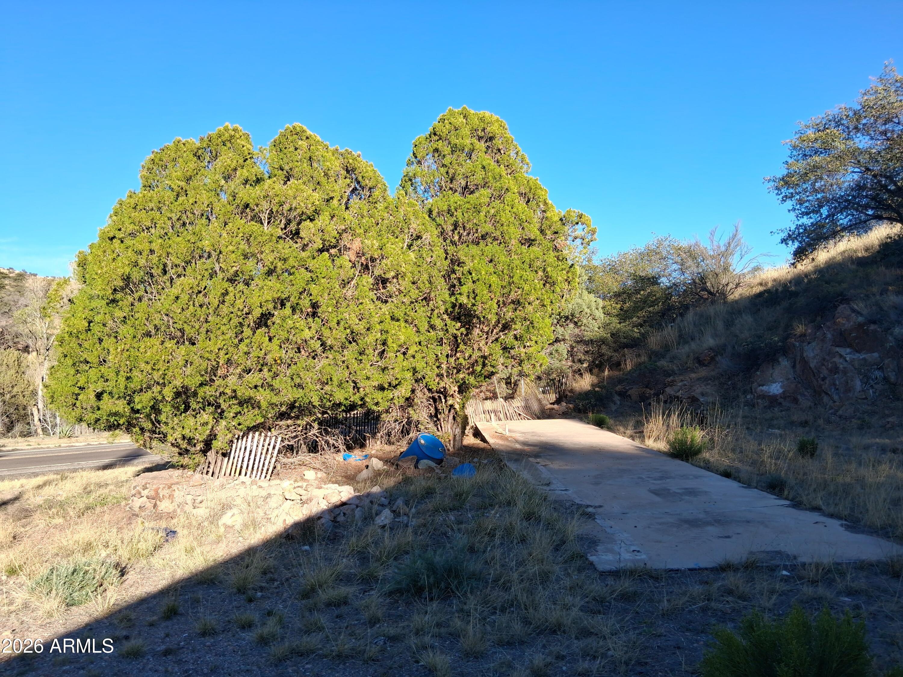 1589 Highway 80 Bisbee, AZ 85603 - Photo 11 of 18 a view of a yard with plants and tree