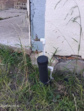 a view of a plants with a tree