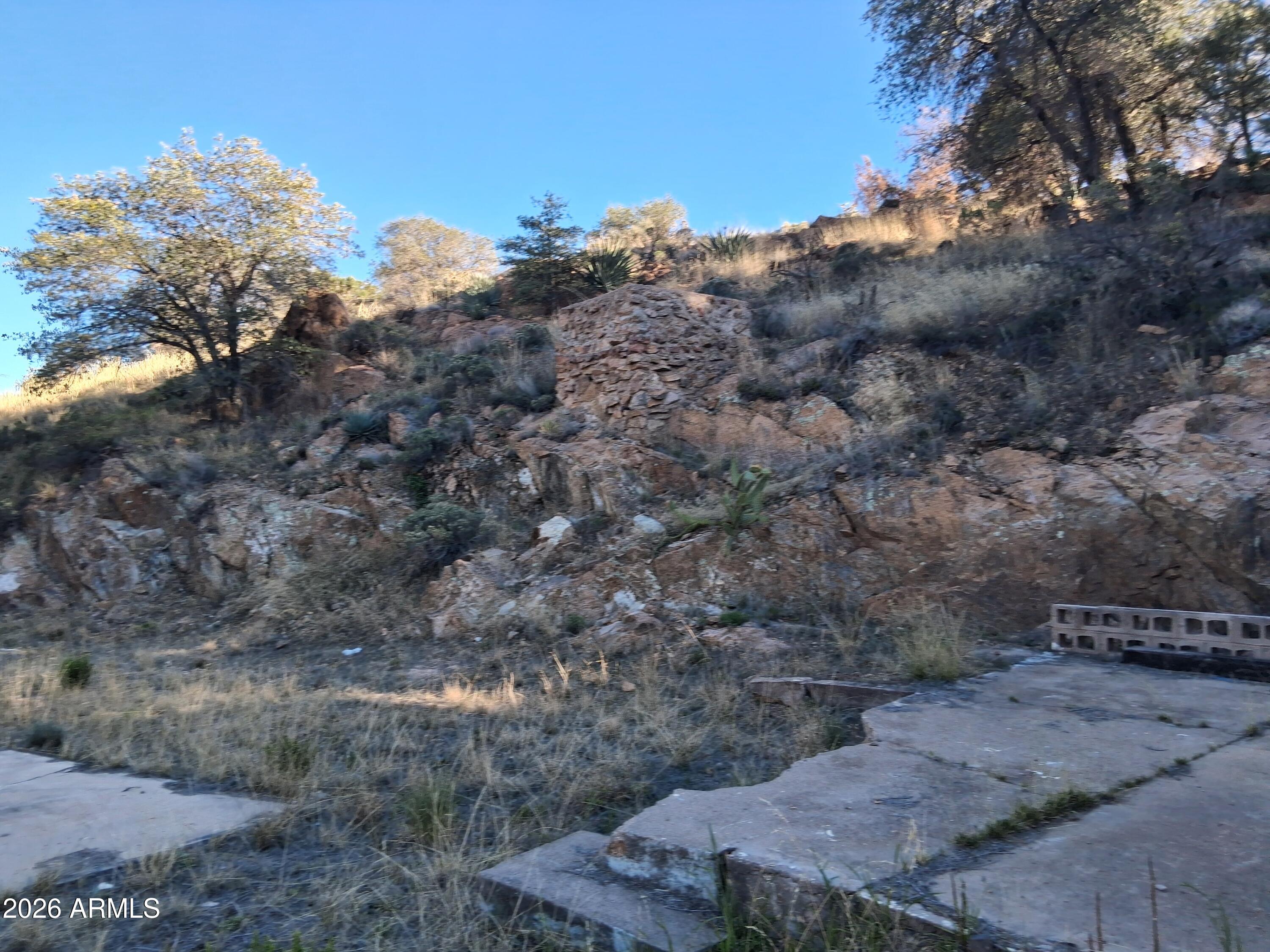 1589 Highway 80 Bisbee, AZ 85603 - Photo 14 of 18 a view of a dry yard with trees