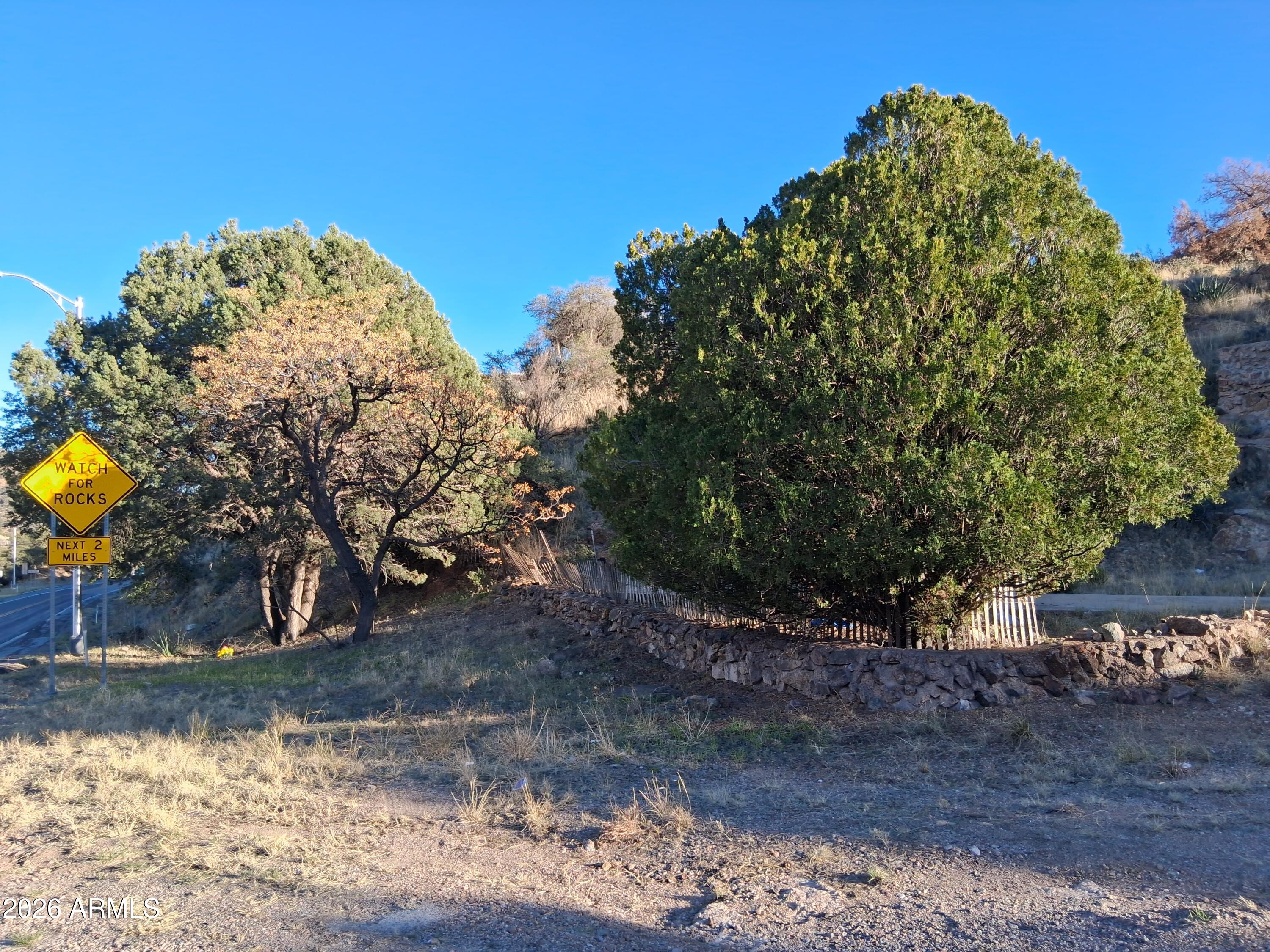 1589 Highway 80 Bisbee, AZ 85603 - Photo 17 of 18 a view of a yard with a tree