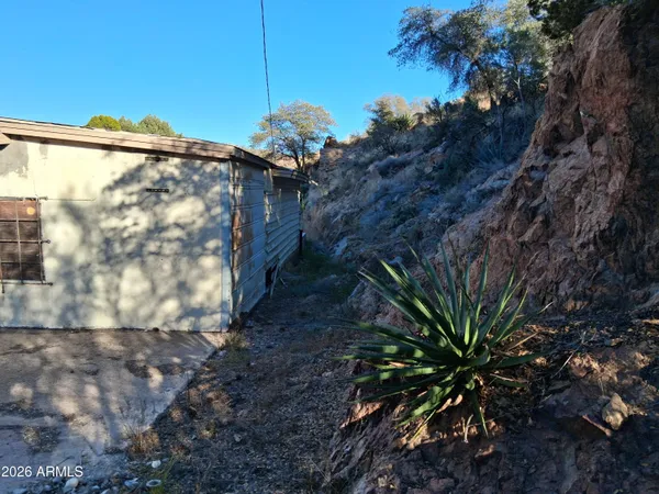 a view of a yard in a backyard