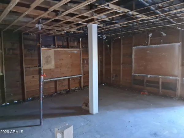 a view of a yard with plants and tree