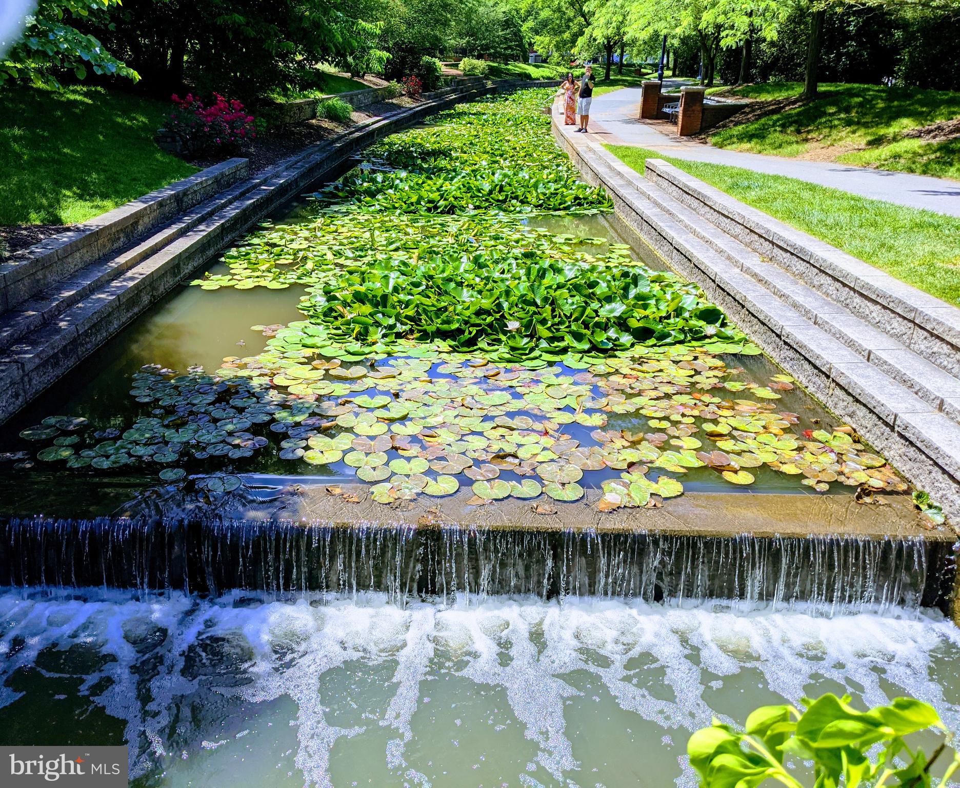 50 Citizen's Way, Unit 604 Frederick, MD 21701 - Photo 50 of 53