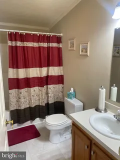 a bathroom with a sink a toilet and shower curtain