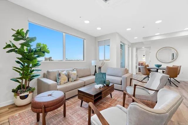 a living room with furniture potted plant and a lamp