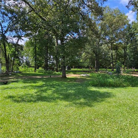 59 Tyler Road Deville, LA 71328 - Photo 5 of 30