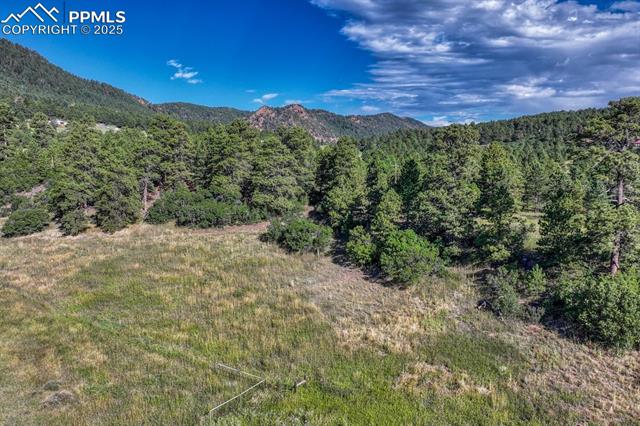 Perry Park Road Larkspur, CO 80118 - Photo 36 of 50 Gallery Image 36