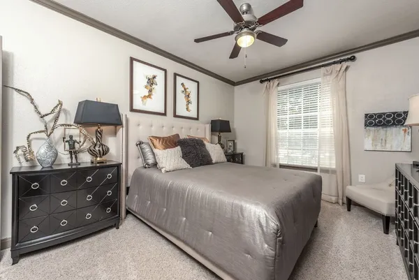 a bedroom with a large bed and a window