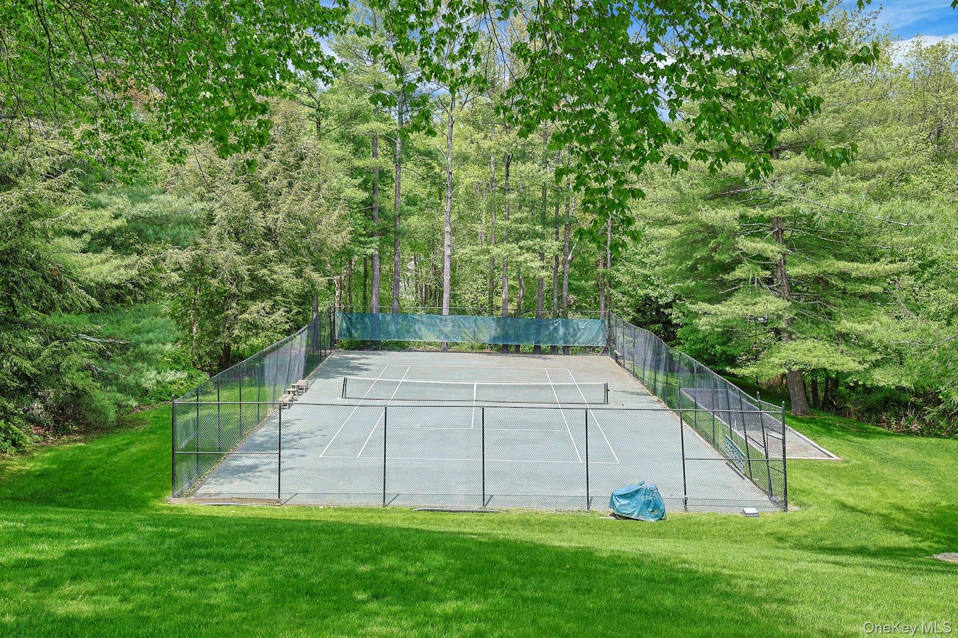 45 Jackson Road Bedford, NY 10506 - Photo 8 of 40 Har-Tru tennis court