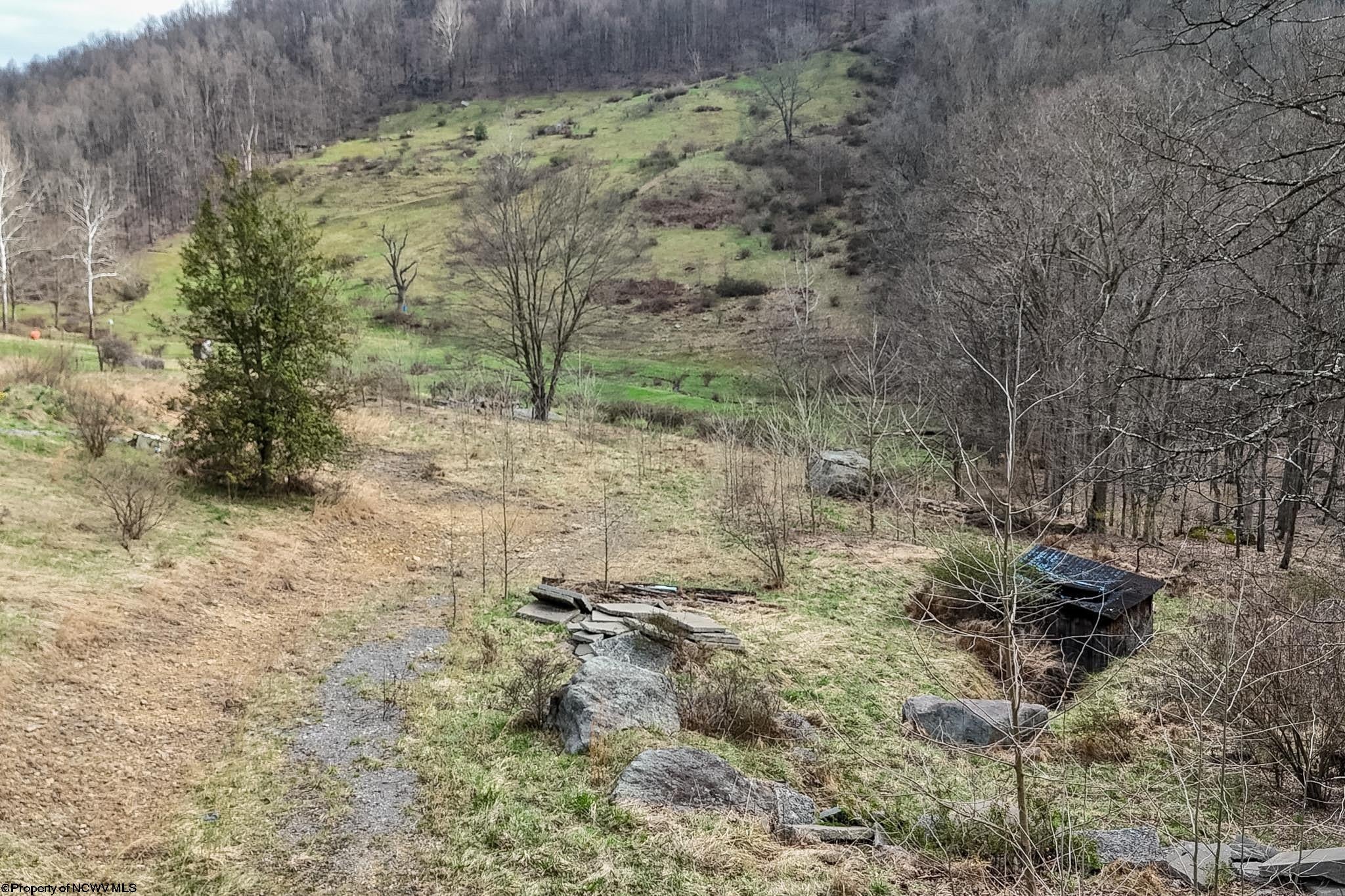 Tbd Mudlick Run Road Fairmont, WV 26554 - Photo 3 of 20 Gallery Image 3