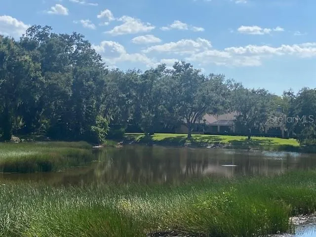 a view of a lake view