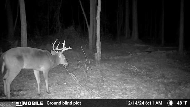 0 Sam Bradley Road Americus, GA 31709 - Photo 37 of 37 Gallery Image 37