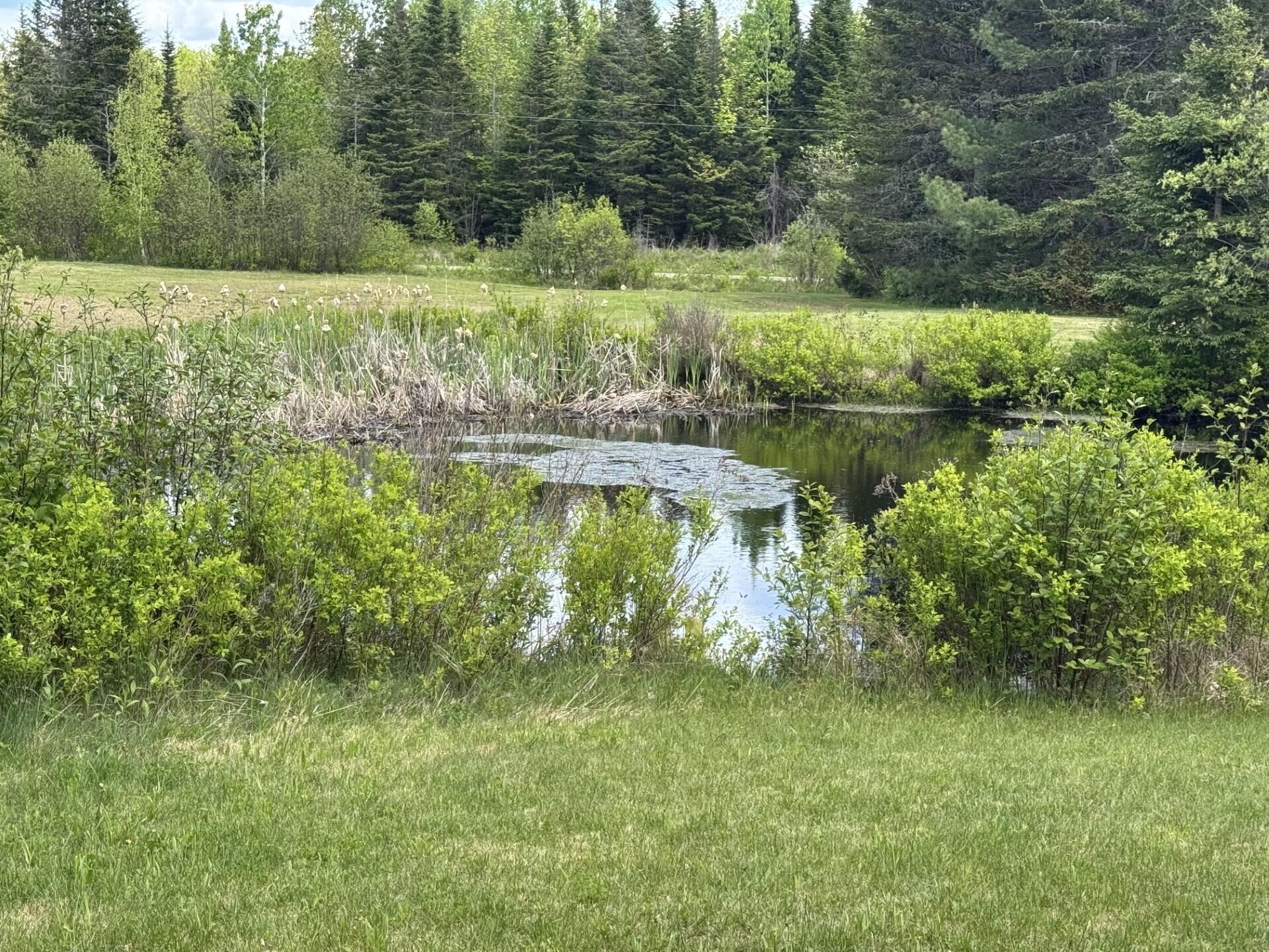 328 Clark Road Merrill, ME 04780 - Photo 43 of 55 House Pond (328 Clark Road) II