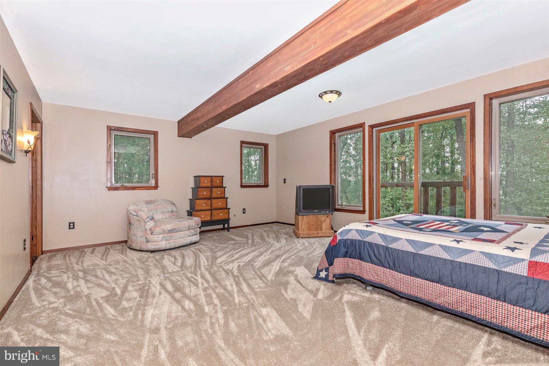 914 Trevanion Road Union Bridge, MD 21791 - Photo 33 of 54 Main level bedroom with spectacular views!