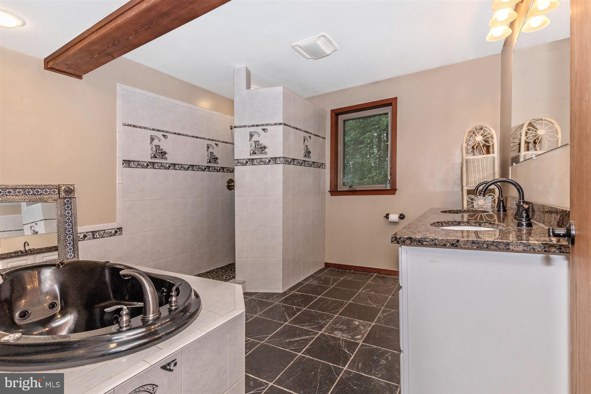 914 Trevanion Road Union Bridge, MD 21791 - Photo 35 of 54 Main level master bathroom with double sinks.